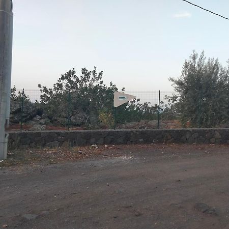Cuntarati Nature Tourism - Simeto Etna 布龙泰 外观 照片