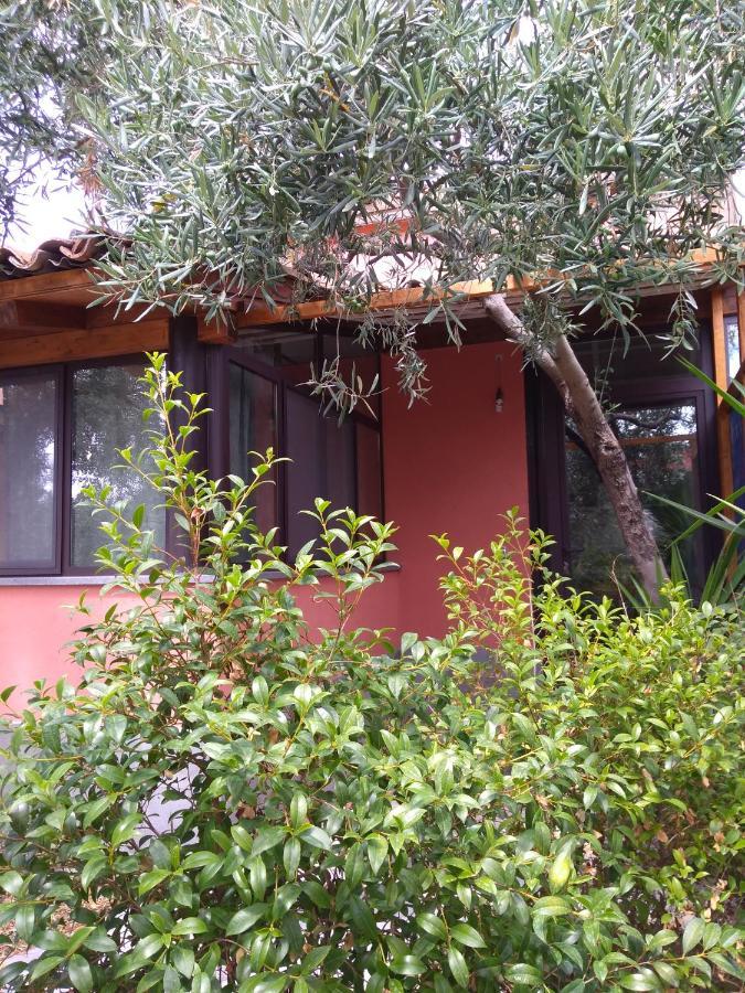 Cuntarati Nature Tourism - Simeto Etna 布龙泰 外观 照片