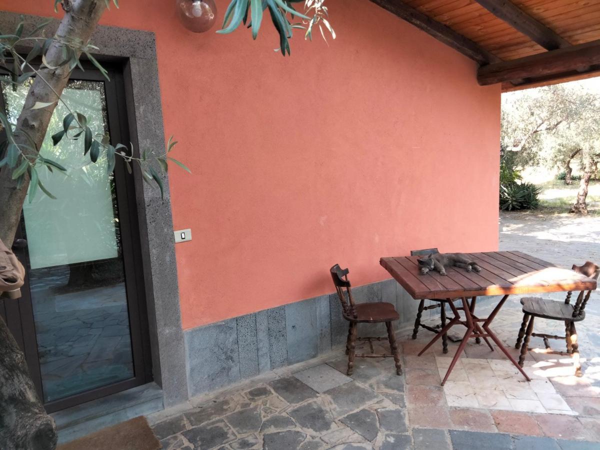 Cuntarati Nature Tourism - Simeto Etna 布龙泰 外观 照片