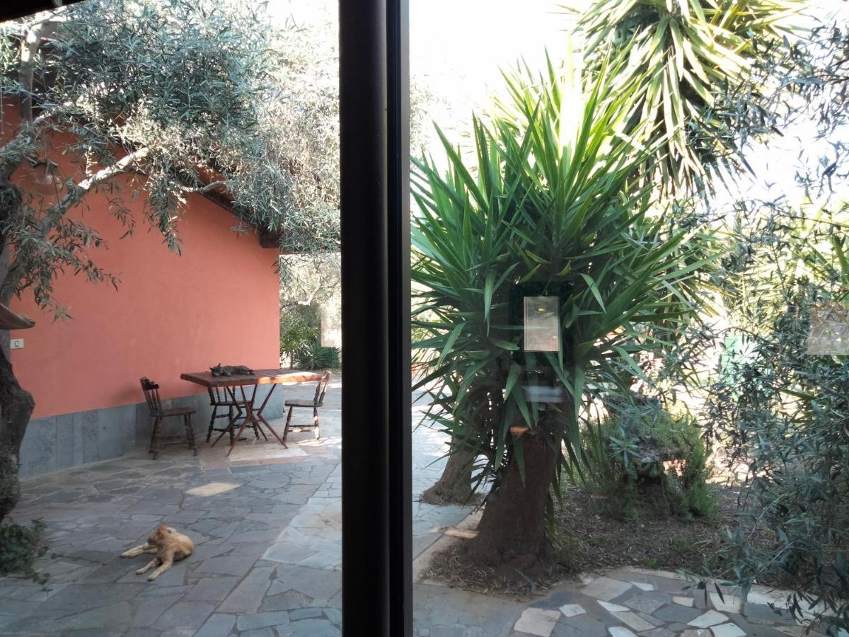 Cuntarati Nature Tourism - Simeto Etna 布龙泰 外观 照片