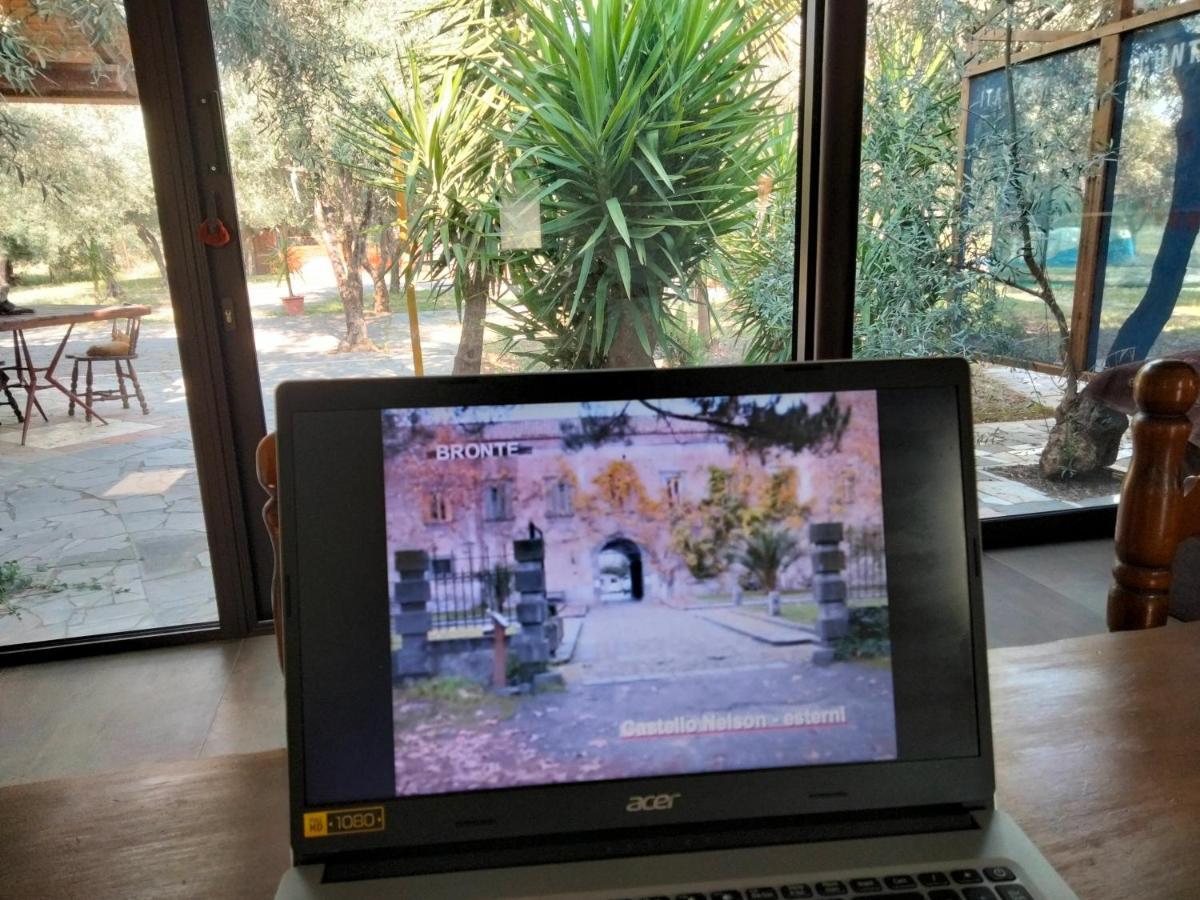 Cuntarati Nature Tourism - Simeto Etna 布龙泰 外观 照片