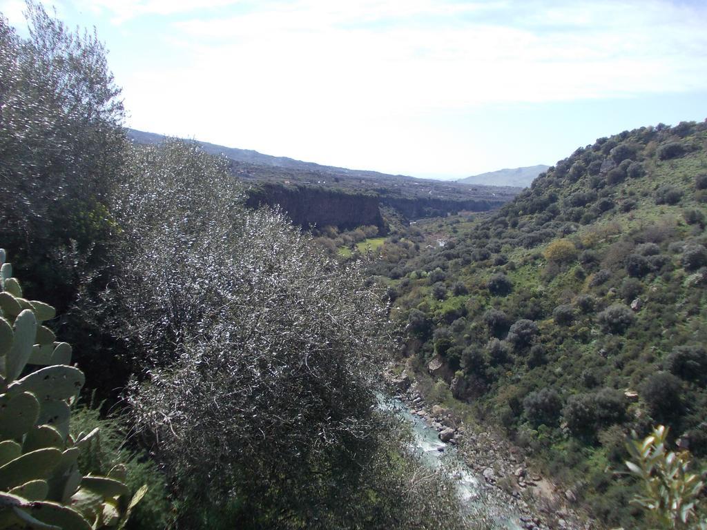Cuntarati Nature Tourism - Simeto Etna 布龙泰 外观 照片