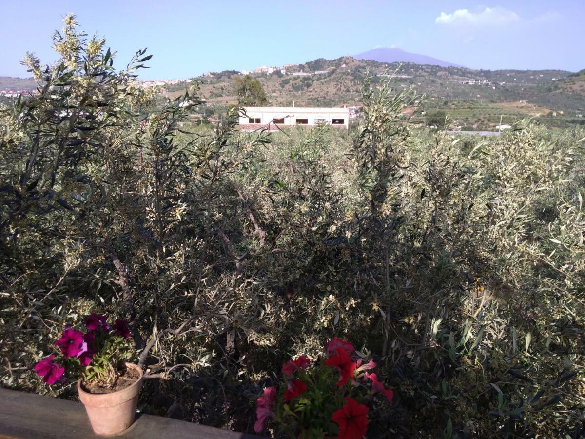 Cuntarati Nature Tourism - Simeto Etna 布龙泰 外观 照片