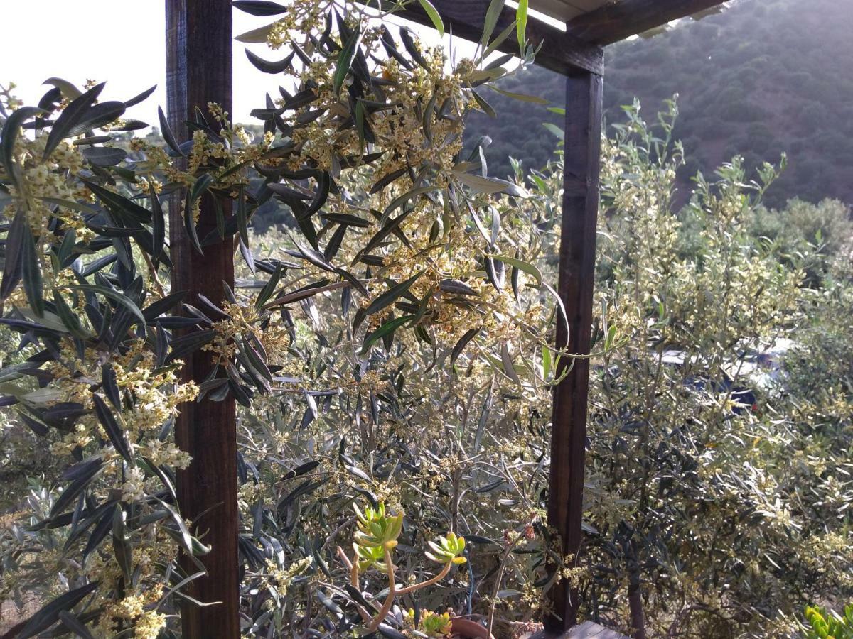 Cuntarati Nature Tourism - Simeto Etna 布龙泰 外观 照片